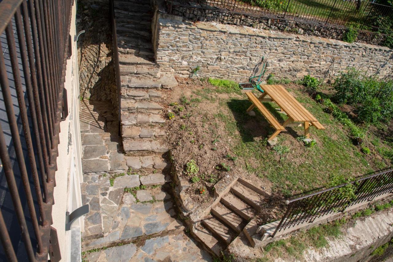 Le Studio, Gite De La Moulinquie Saint-Cirgue Exteriör bild