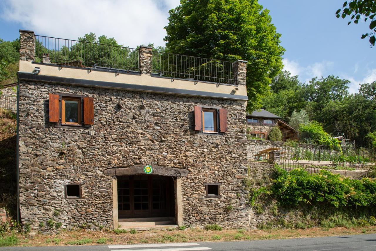 Le Studio, Gite De La Moulinquie Saint-Cirgue Exteriör bild